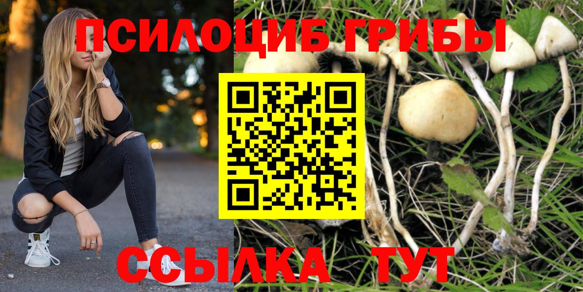 Псилоцибиновые грибы мухоморы Алатырь