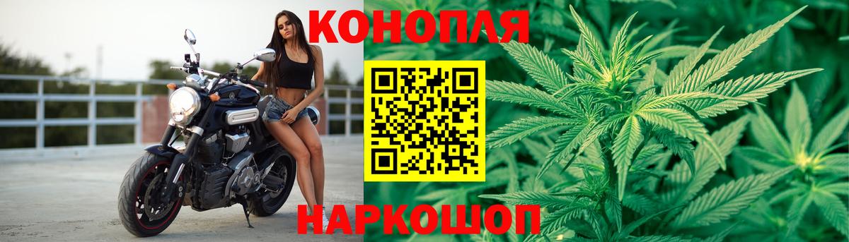Конопля MAZAR Алатырь